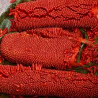 BuahMerah