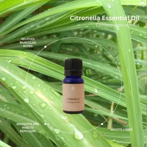 Citronella | Essential Oil
