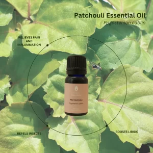 Patchouli | Essential Oil